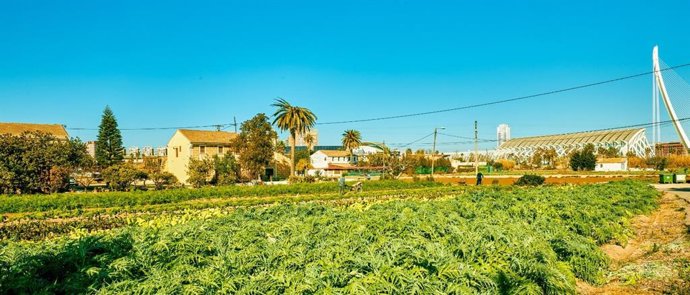 Imagen de la huerta de València