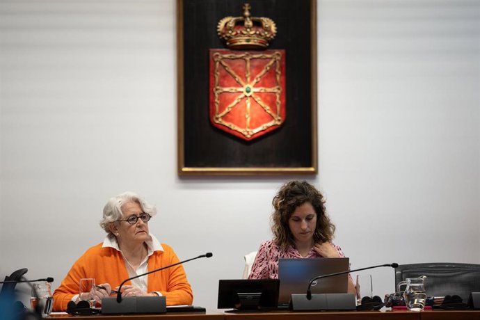 La exconsejera de Economía e Industria del Gobierno de Navarra Lourdes Goicoechea, en la comisión de investigación del Parlamento de Navarra sobre adjudicaciones públicas.