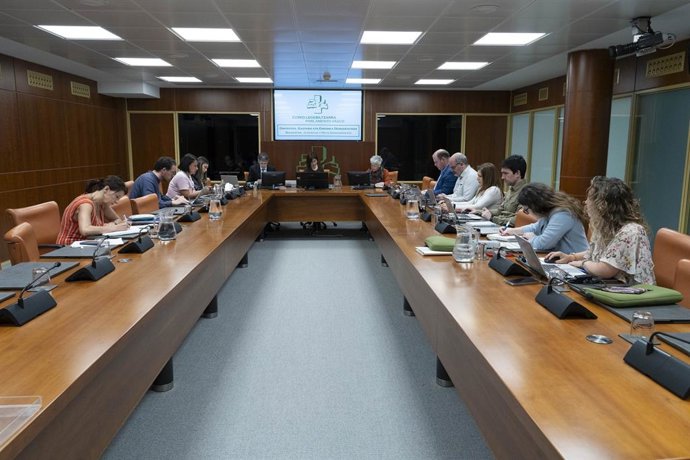 Elena Ayarza ha comparecido ante la Comisión de Juventud