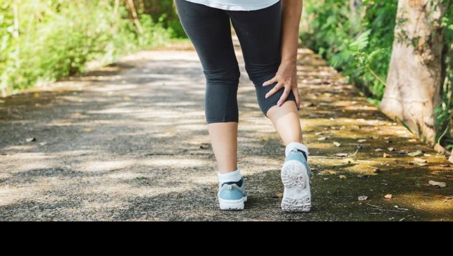 notibrasil sociedade