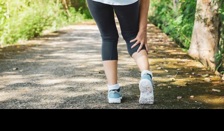 notibrasil sociedade