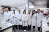 Foto: Identifican una nueva ruta de señalización molecular en cáncer para optimizar inmunoterapias biológicas