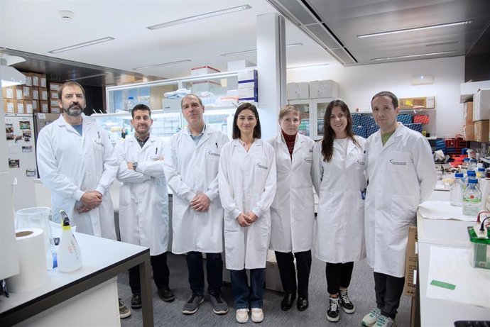 Archivo - De izda. A dcha.: Enrique Santamaría, Joaquín Fernández, David Escors, Luisa Chocarro, Grazyna Kochan, Karina Ausín y Borja Vilaplana.