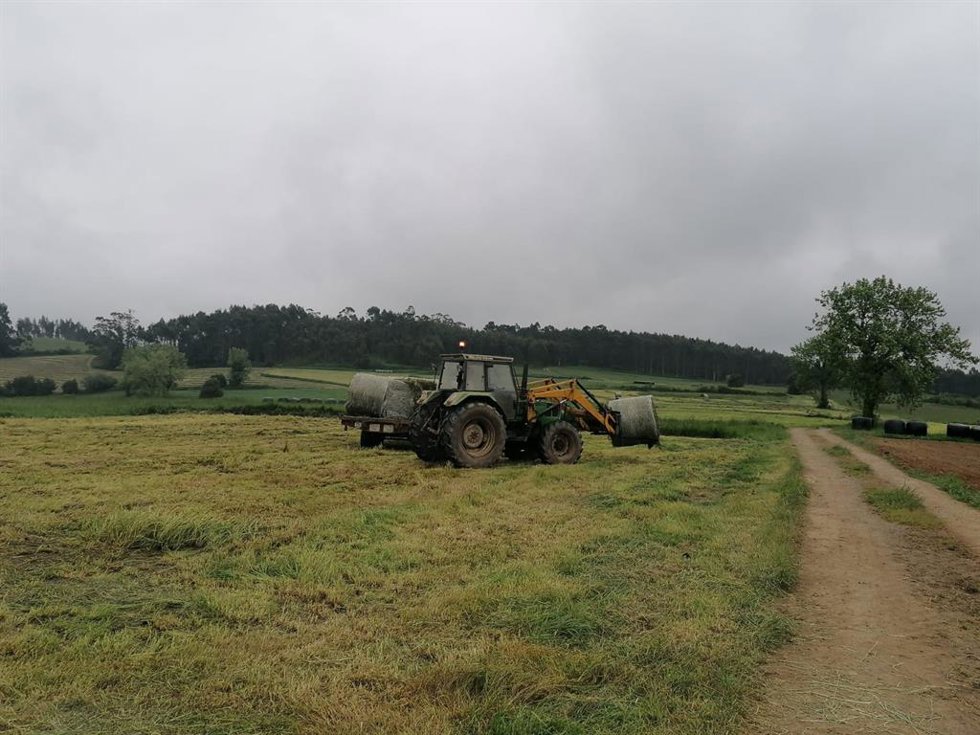 Archivo - Trabajos en el campo. Imagen de archivo