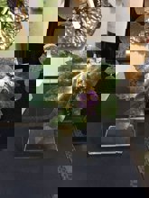 WhatsApp Image 2026-04-21 at 12.39.26