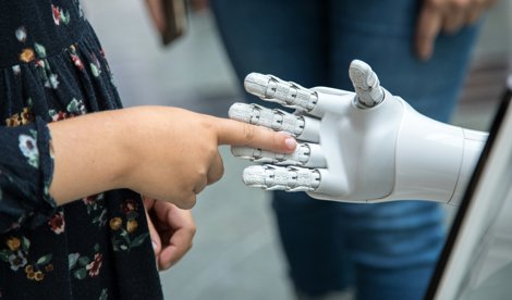 notibrasil sociedade