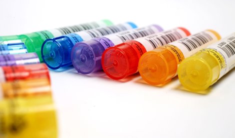 notibrasil sociedade