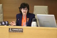 Cani Fernández muestra "frustración" por la no habilitación de CNMC como coordinadora de servicios digitales