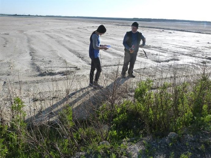 Archivo - Medidores de radioactividad