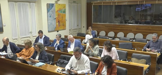 Comisión de Cultura