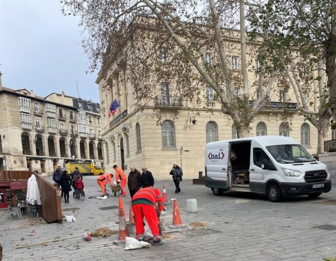 Brigadas de Acción Inmediata