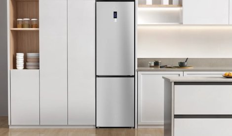 notibrasil sociedade