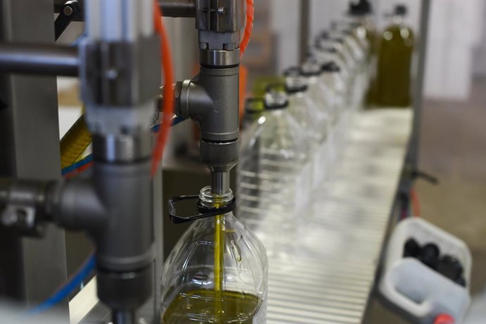 Archivo - Envasado en la “Almazara Tradicional”, en Gata (Cáceres), a 24 de noviembre de 2023, en Cáceres, Extremadura (España). 