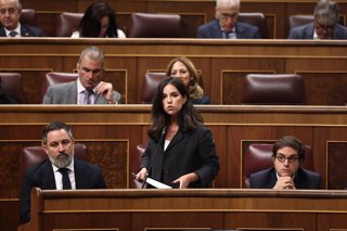 Archivo - La portavoz de Vox en el Congreso, Pepa Millán, interviene durante una sesión de Control al Gobierno, en el Congreso de los Diputados, a 7 de octubre de 2025, en Madrid (España)