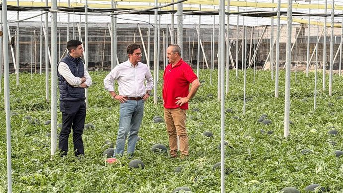 El concejal de Agricultura de El Ejido (Almería), Manuel Martínez, el alcalde de El Ejido, Francisco Góngora, y el agricultor José Antonio Herrera, durante su visita a un cultivo de sandías del municipio.