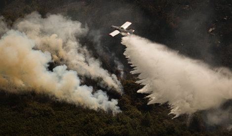 notibrasil sociedade