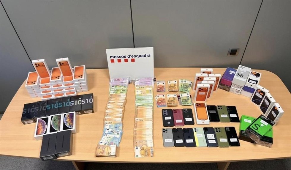 Imagen de los objetos sustraídos en la intervención.