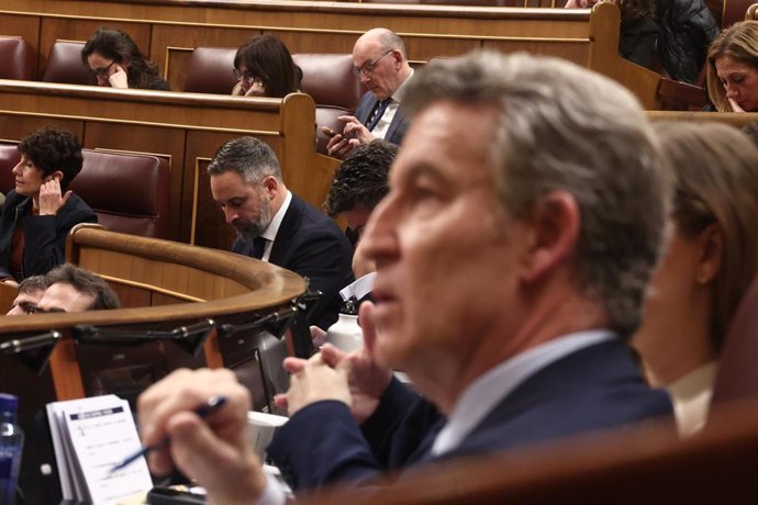 Archivo - El presidente del Partido Popular, Alberto Núñez Feijoó (d), y el presidente de Vox, Santiago Abascal (i), en una sesión de control al Gobierno , en el Congreso de los Diputados.