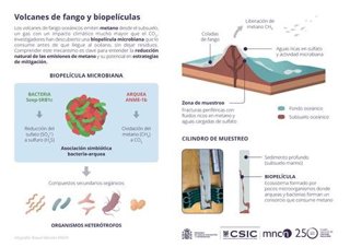 Explicación de la investigación sobre una comunidad microbiana del golfo de Cádiz capaz de frenar las emisiones de metano