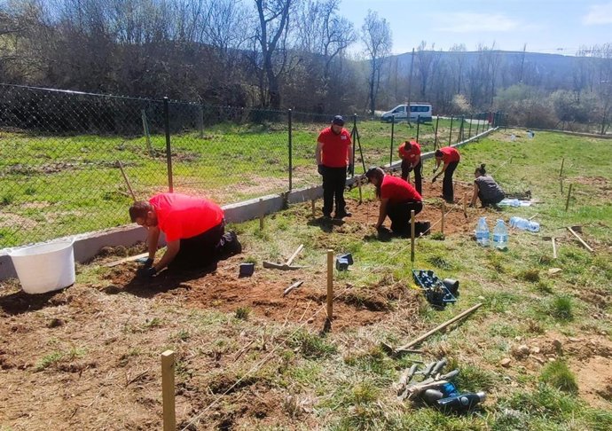 Parcela experimental en Quintana de Fuseros (León) donde la Ciuden impulsa el estudio y desarrollo del cultivo de plantas para uso medicinal y cosmético.