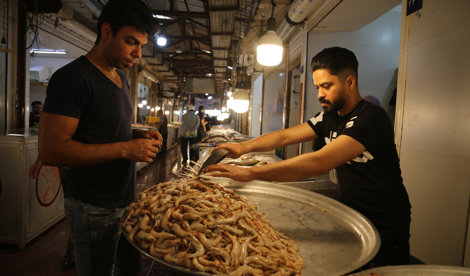 notibrasil política