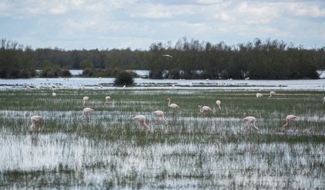 notibrasil política