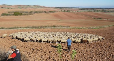 La Rioja