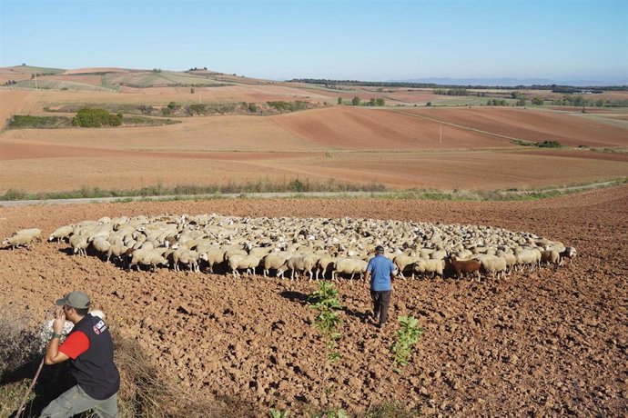 Archivo - Las medidas recurridas se basan en deducciones por instalarse en el mundo rural 
