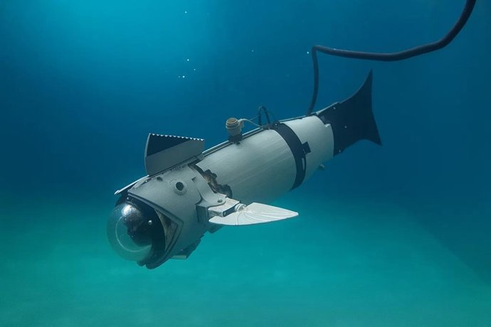 El CIRTESU de UJI crea un prototipo de pez robótico modular para usar en acuicultura