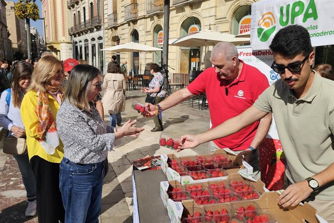 UPA llena de alegría y salud la Puerta Real  de Granada al repartir más de 1.000 tarrinas de fresas de Huelva sanas, seguras y sostenibles