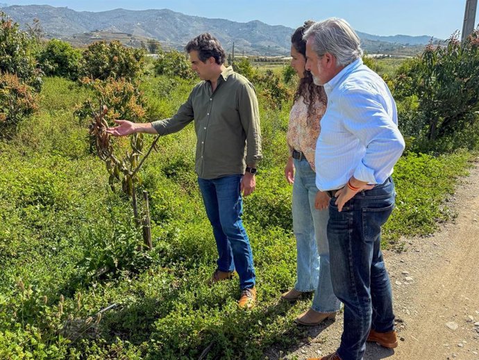 El candidato de Vox a las elecciones andaluzas, Antonio Sevilla, acompañado por Antonio Ureña, número tres en la lista, visita distintas fincas en la Axarquía