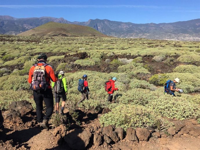 Archivo - Turistas en el malpaís de Güímar