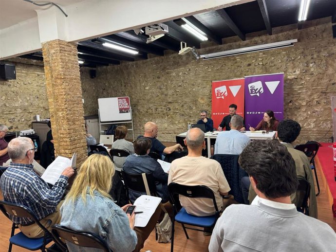 Consell Polític de EUPV