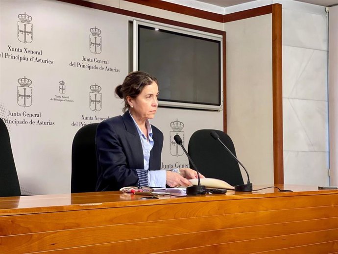 La portavoz parlamentaria socialista, Dolores Carcedo, durante la rueda de prensa de este miércoles en la Junta General.