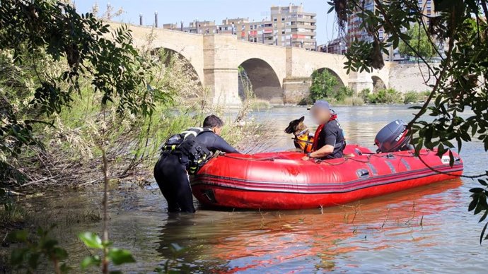 Vídeo de la noticia
