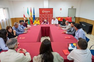 La consejera de Sostenibilidad y Medio Ambiente, Catalina García, durante la reunión con la Cámara de Comercio e Industria de Andújar