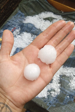 Archivo - Una persona muestra el tamaño de las “bolas de granizo”