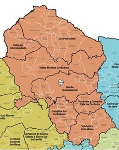 Es Andalucía - Córdoba