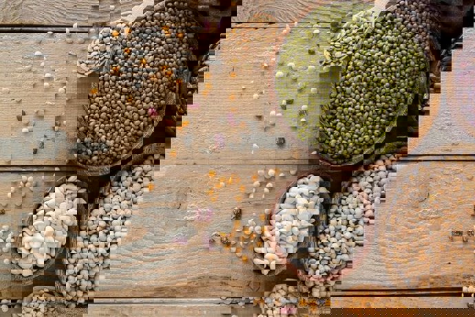 Archivo - El sector de las legumbres aumenta la producción de 88 a 97 millones de toneladas entre 2016 y 2024.