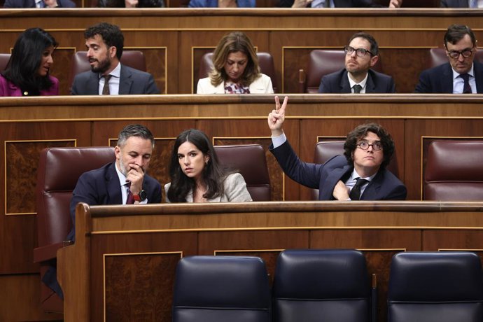 El presidente de Vox, Santiago Abascal, la portavoz de Vox en el Congreso, Pepa Millán, y el diputado de Vox, José María Figaredo, durante un pleno en el Congreso de los Diputados, a 15 de abril de 2026, en Madrid (España).