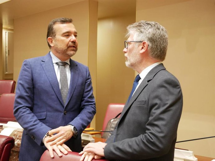 El diputado regional del PP Carlos Albaladejo