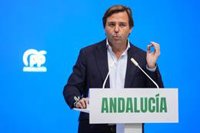 Repullo (PP-A) llama a "seguir luchando por la estabilidad y el futuro" para "defenderse del pasado del PSOE"