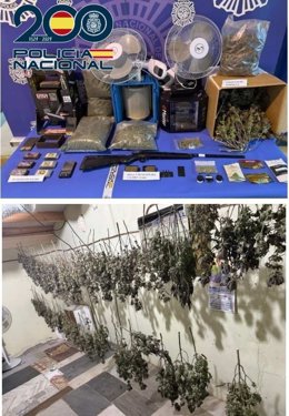 Detenido en Ponferrada tras desmantelar la policía un cultivo 'indoor' de marihuana en una nave industrial.