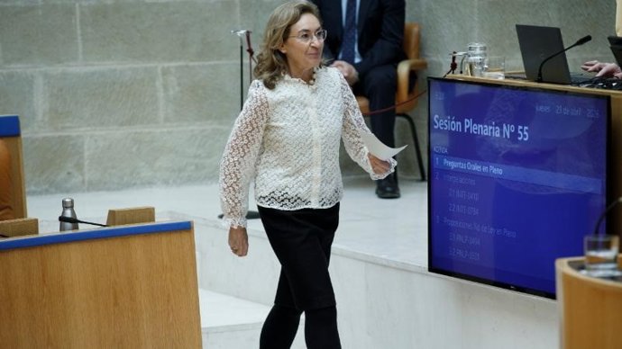 La consejera de Salud, María Martín