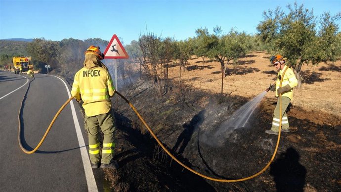 Dos bomberos forestales del Infoex apagan un fuego junto a una carretera.