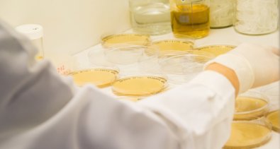 Es Andalucía - Granada