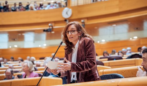 notibrasil sociedade