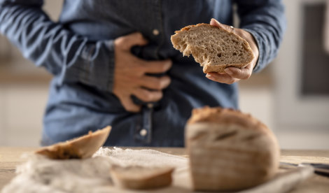 notibrasil sociedade