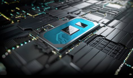 notibrasil sociedade