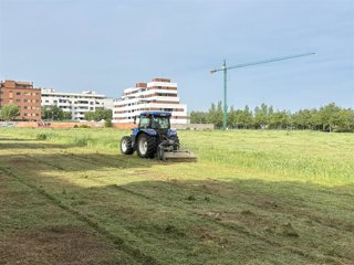 Campaña de limpieza de solares en Ciudad Real.